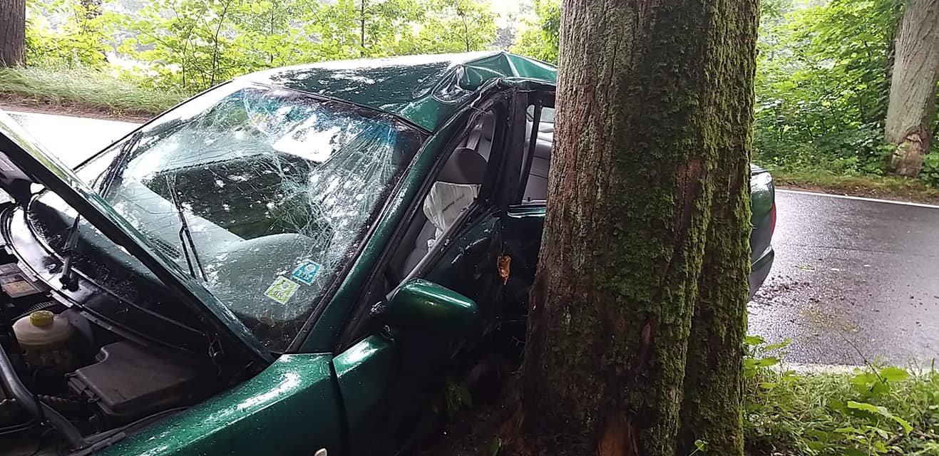 Samochód uderzył w drzewo. Kierowca stracił panowanie nad