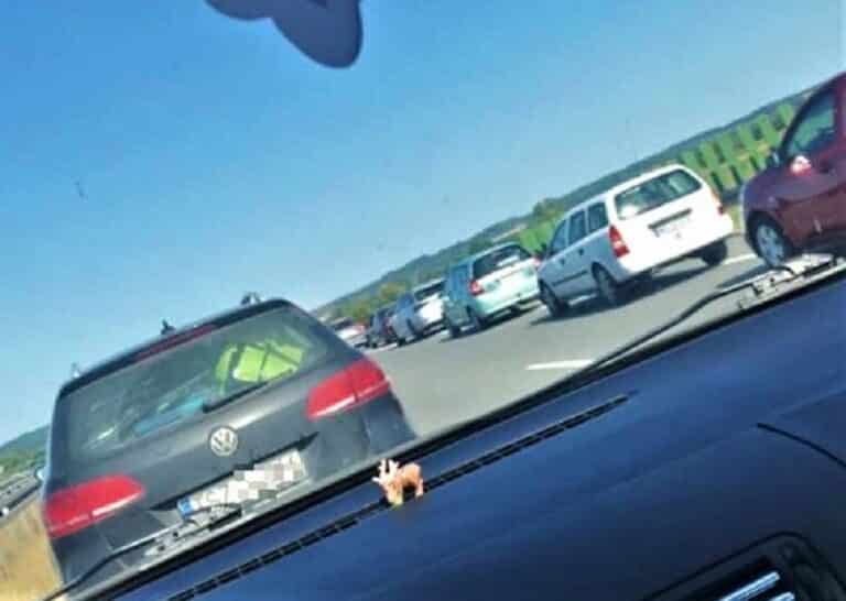 Potężny korek na S7 w kierunku Gdańska