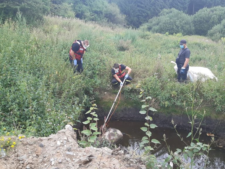 Znaleziono martwego dzika w oczku wodnym