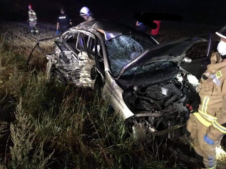 Automatycznie zapisany szkic