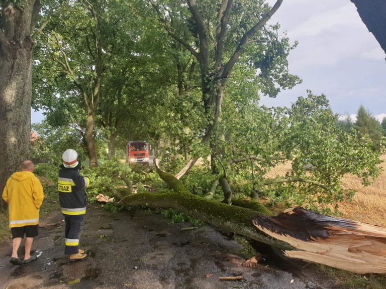 Ponad 30 interwencji strażak&oacute;w po burzach