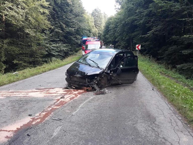 Zasnęła za kierownicą, w samochodzie było dziecko. Czołowe zderzenie