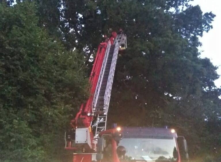 Wypadek paralotniarza. Wylądował w koronie drzewa, gdzie zawisł