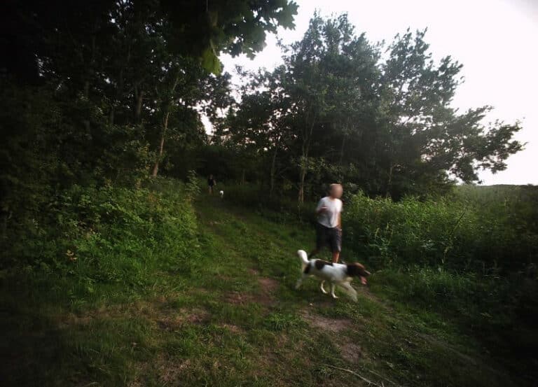 Wyszli na spacer z psami&hellip; na pas drogi granicznej