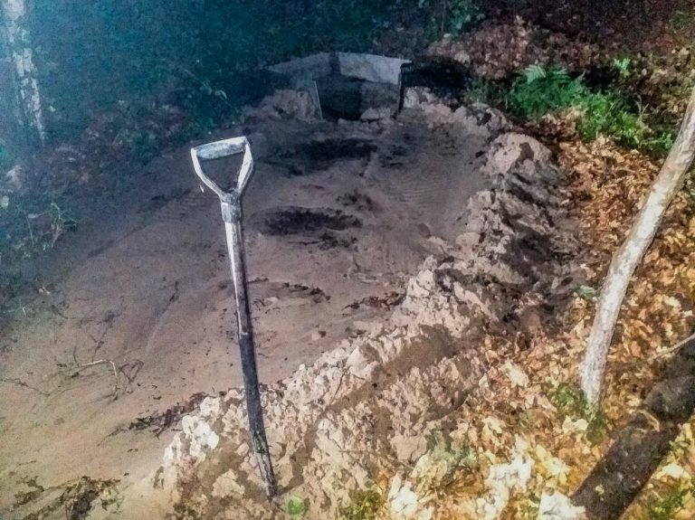 Nielegalni poszukiwacze bursztynu niszczą las na Mierzei