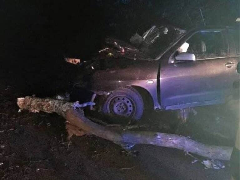 Nocne zderzenie z drzewem. Były utrudnienia w ruchu