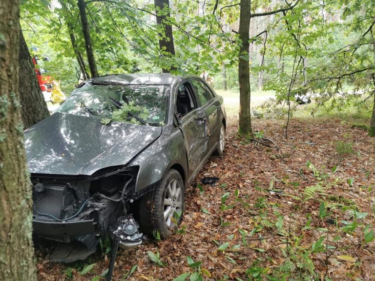 Wypadł na łuku drogi i wleciał autem do lasu