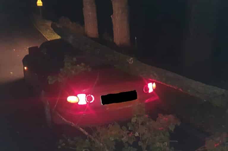 Drzewo przewr&oacute;ciło się na jadące auto