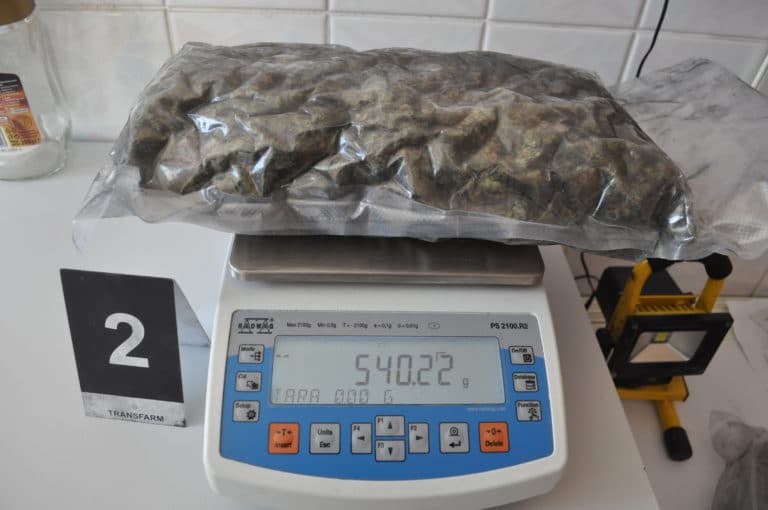 Wpadł podczas kontroli. Przewoził duże ilości narkotyk&oacute;w