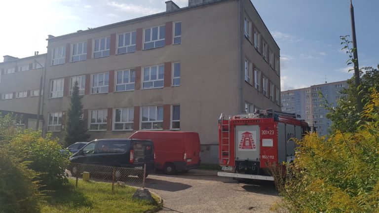 Gniazdo os w szkole. Dzieci ewaukowanne