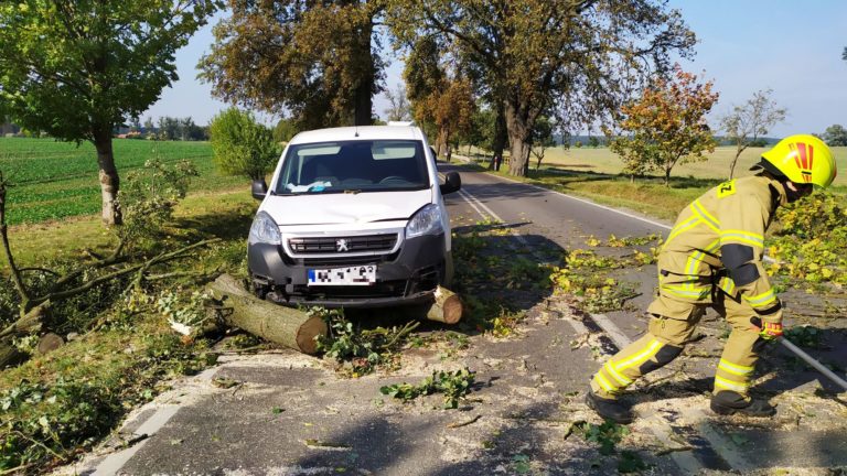 Konar drzewa spadł tuż przed autem