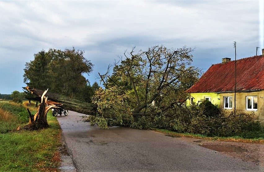 Warmińsko-mazurskie. 140 interwencji po burzach – połamane drzewa, zniszczone łodzie na jeziorach