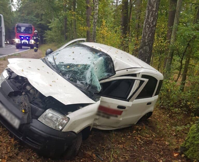 Wypadek na DK53. Na miejscu straż graniczna, straż pożarna, policja i pogotowie