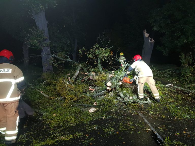 Warmińsko-mazurskie. Blisko 200 interwencji strażak&oacute;w po silnym wietrze