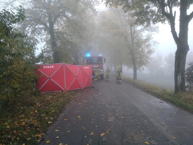 Młody kierowca zginął w wypadku