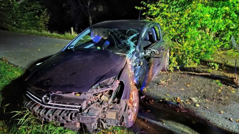 Jedna osoba w szpitalu po zderzeniu z drzewem