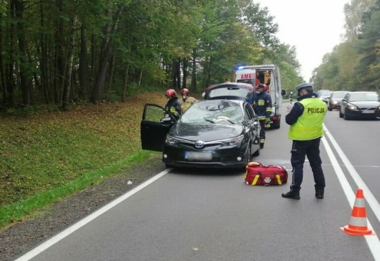 Zderzenie samochodu osobowego z jeleniem