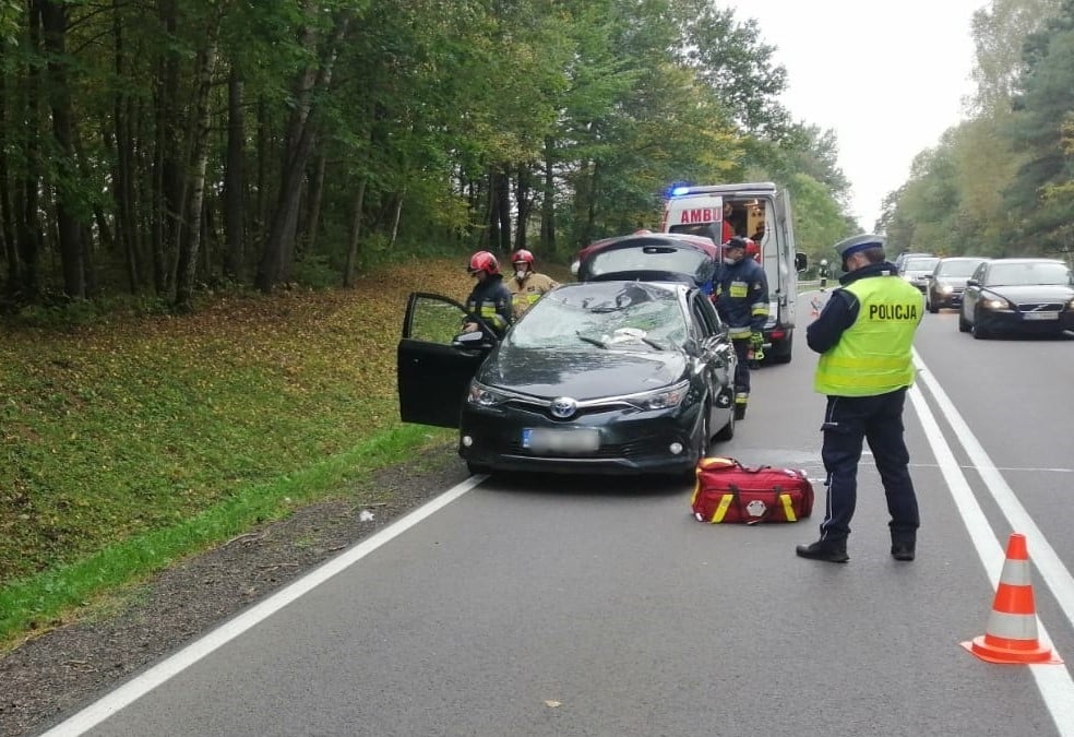 Zderzenie samochodu osobowego z jeleniem wypadek Olsztyn, Wiadomości