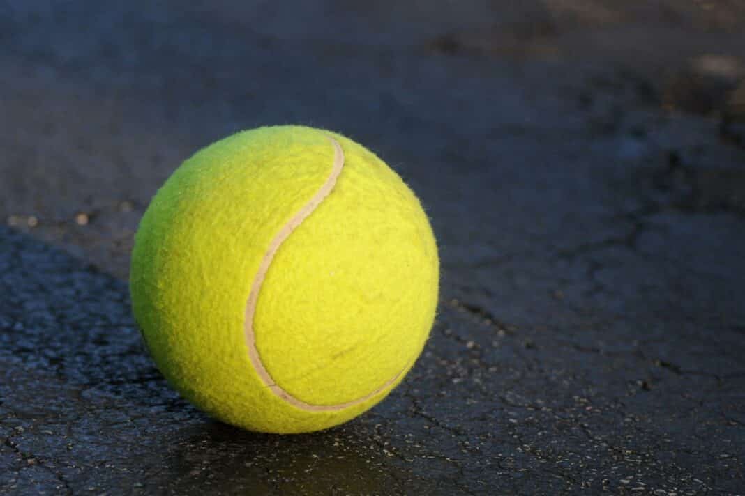Miłośnicy tenisa usłyszeli zarzuty za wtargnięcie w nocy na kort