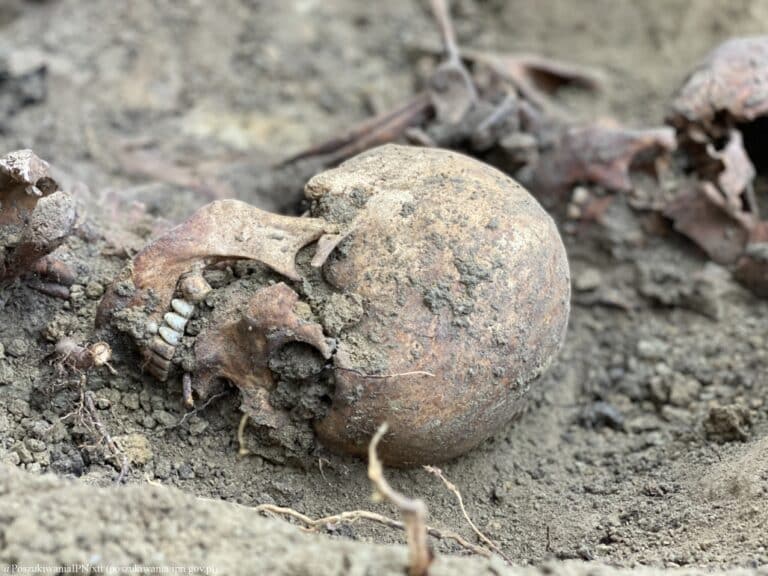 Już wiemy czemu służyła ekshumacja zwłok prowadzona przez IPN w Olsztynie