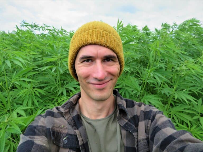 Ponad 40 hektar&oacute;w pola konopi w naszym regionie