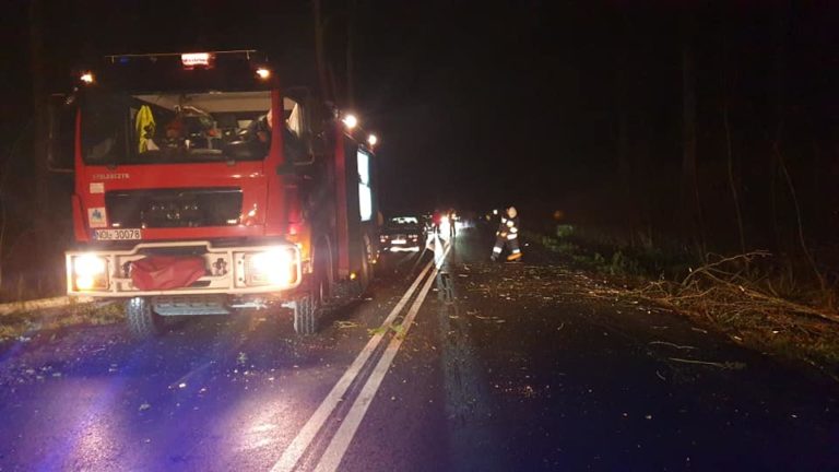 IMGW: Silny wiatr na p&oacute;łnocy kraju