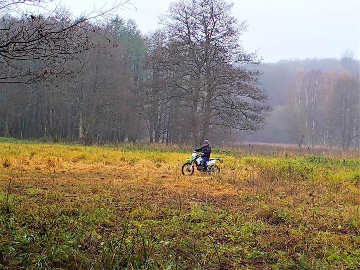 500 złotych mandatu za przejażdżkę motocyklem po lesie