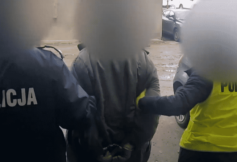 61-latek, kt&oacute;remu odebrano 14 ps&oacute;w, z zarzutami o znęcanie się ze szczeg&oacute;lnym okrucieństwem