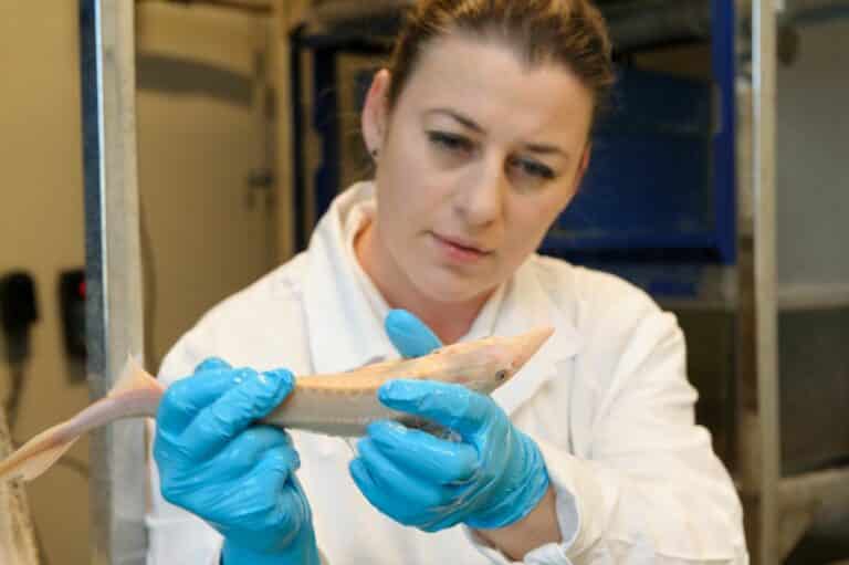 Profesor UWM-u z prestiżową nagrodą od marszałka wojew&oacute;dztwa