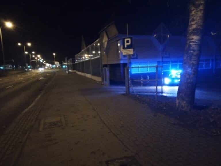 Cztery małe dziki potrącone na ul. Bałtyckiej. Trzy zginęły, a czwarty walczy o życie