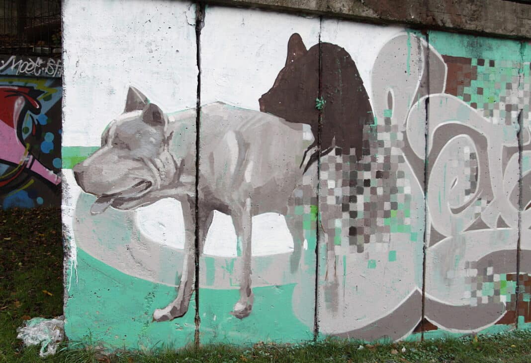 Nowe, nietypowe graffiti z dzikiem i psem w roli głównej w Olsztynie