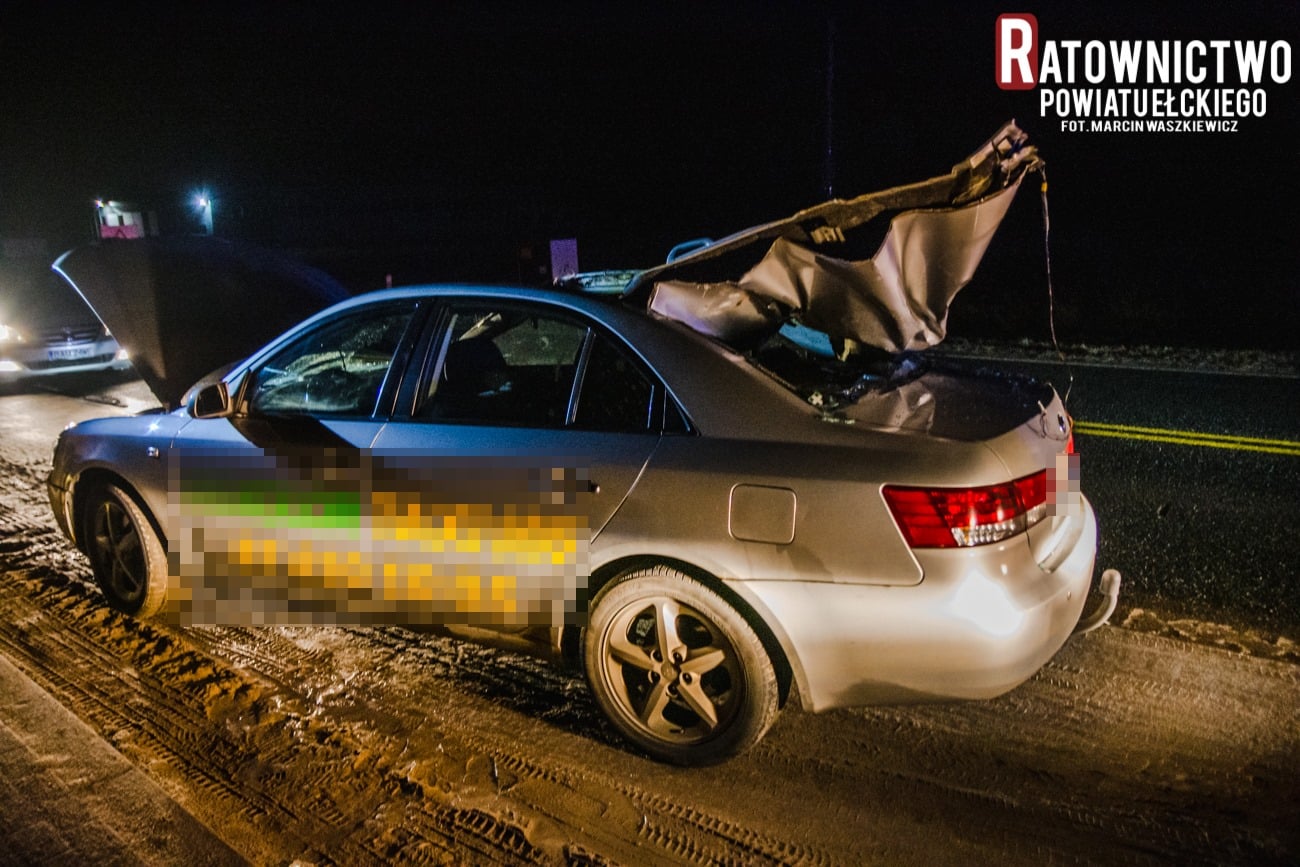 Auto uderzyło w łosia. Zerwany został dach pojazdu