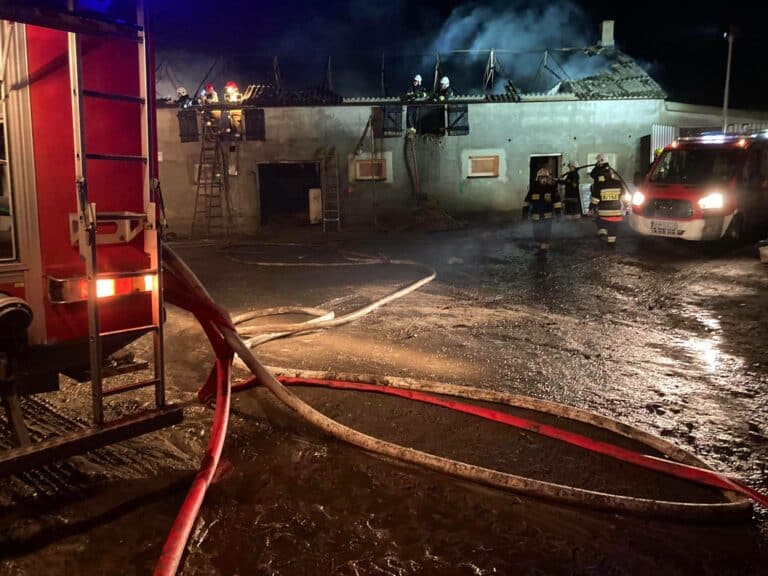 Pożar stodoły ze zwierzętami. Zaatakowano strażaka
