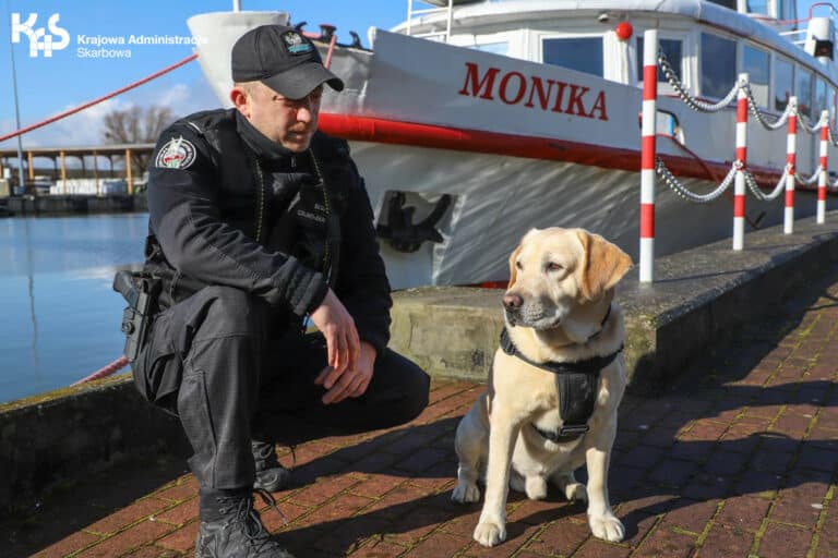 Psy służbowe w KAS