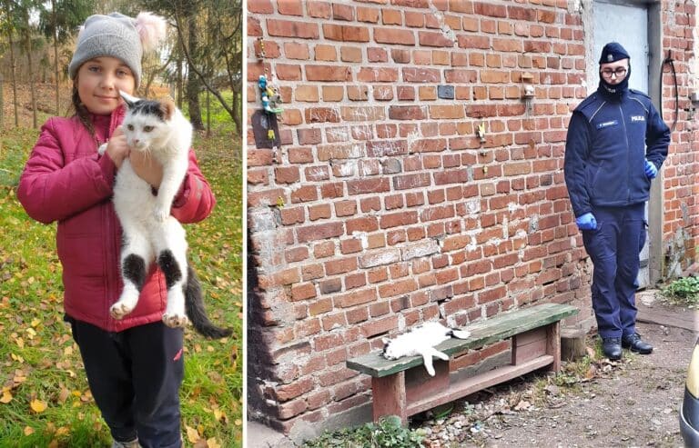 Kto zastrzelił kota? To był ulubiony przyjaciel wnuczek &hellip;.