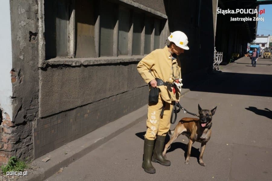 Pies policyjny z Olsztyna gwiazdą internetu Wiadomości