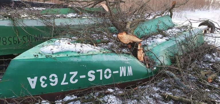 Wycięto drzewa nad jeziorem. Zirytowało to mieszkańc&oacute;w