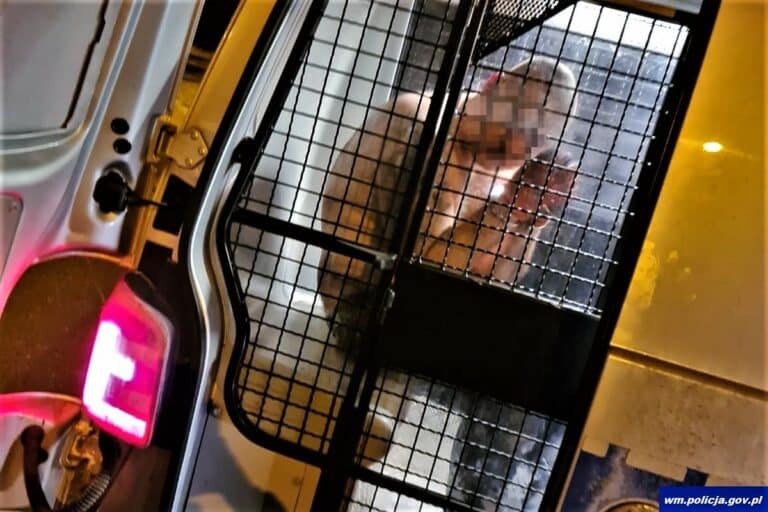 Doszło do walki olsztyńskich policjant&oacute;w z gangiem włamywaczy. Mieli kastet i n&oacute;ż