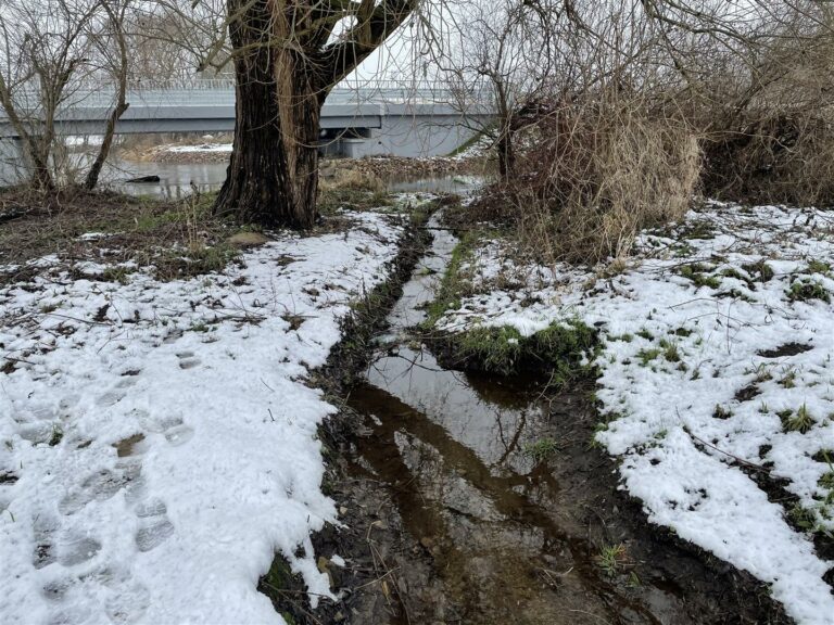 Prokuratura wszczęła powstępowanie ws. nieumyślnego spowodowania śmierci 13-latki