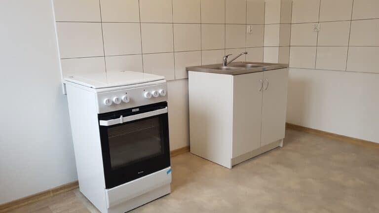 &bdquo;Samotniak&rdquo; w Olsztynie przyjmuje nowe twarze