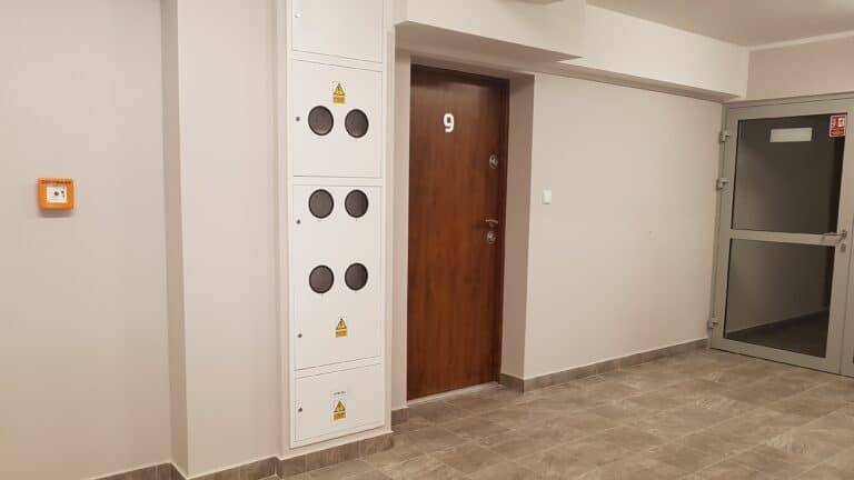 &bdquo;Samotniak&rdquo; w Olsztynie przyjmuje nowe twarze