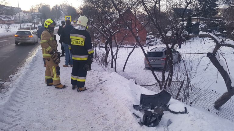 Wjechał do ogrodu na ul. Bałtyckiej