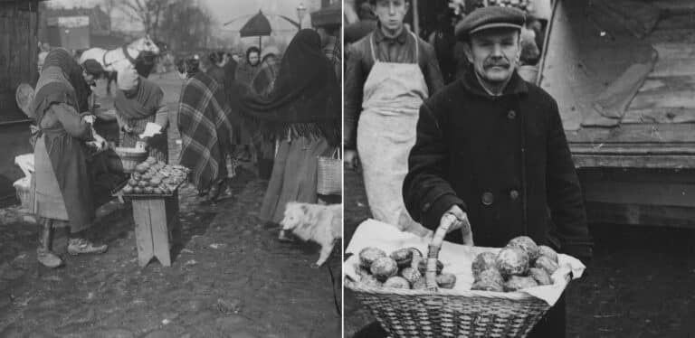 Tłusty Czwartek i pączki okiem naukowc&oacute;w PAN