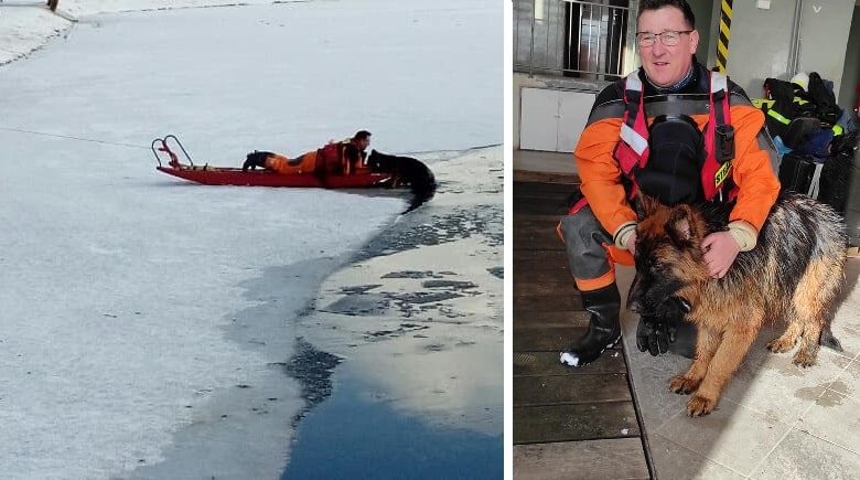 Strażacy uratowali psa tonącego w jeziorze