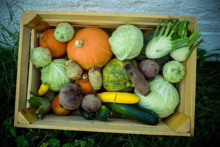 Rzemieślnicy Smak&oacute;w zapraszają na Targowisko Miejskie w Olsztynku