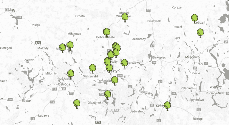 Olsztyńska firma w inicjatywie sadzenia drzew w związku ich masową wycinką