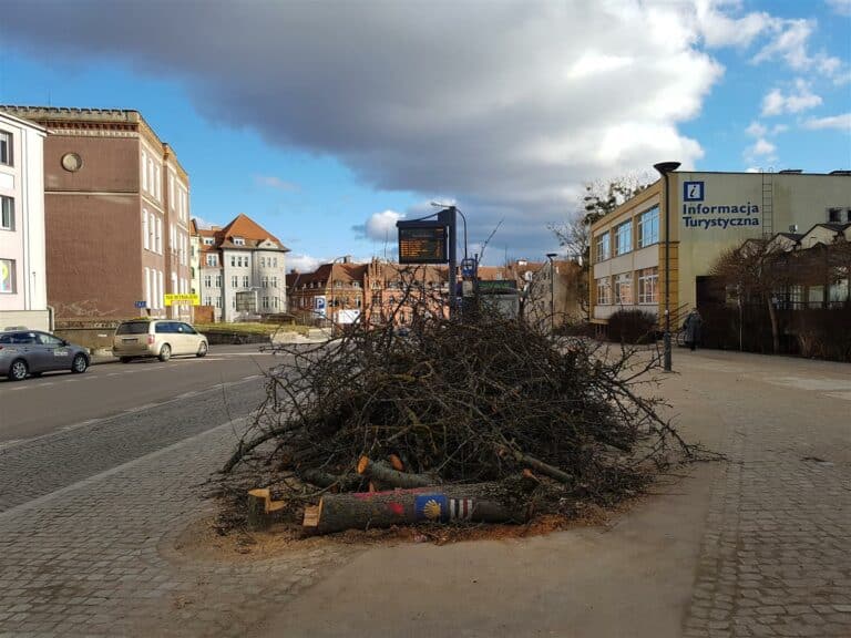 Pnie, hulajnogi i płody [OPINIE]