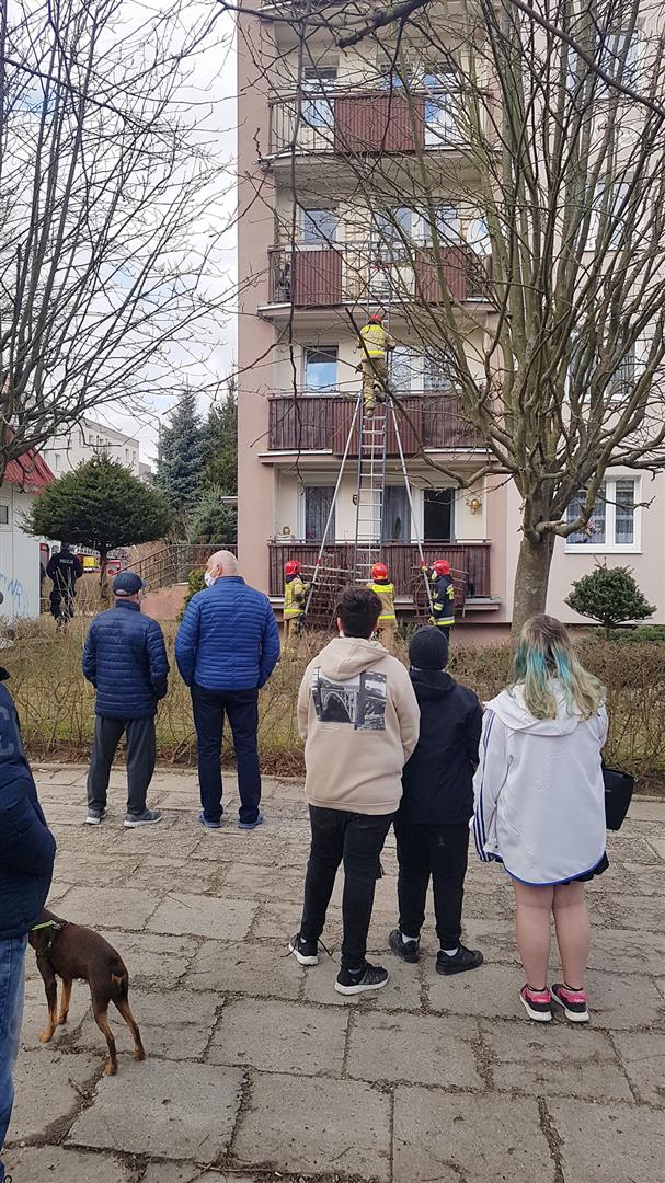 Dużo dymu, mało ognia. Akcja strażaków na ul. Kleberga