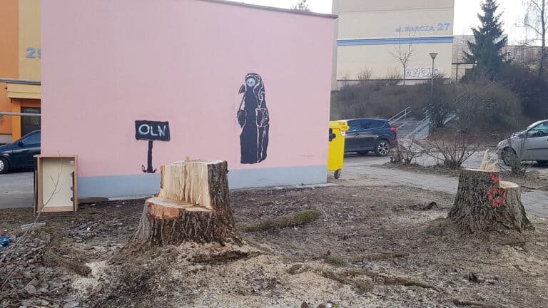 Nowy mural w Olsztynie z wymownym przekazem