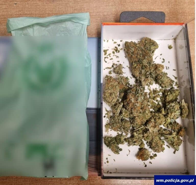 Posiadali narkotyki w trakcie kontroli. Teraz staną przed sądem